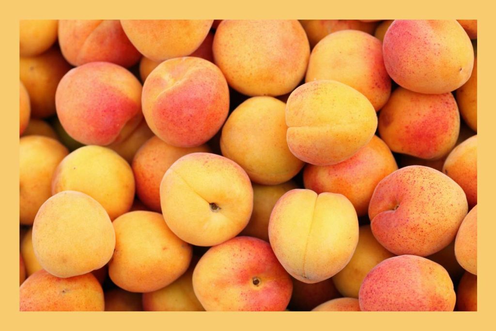 Best Way To Store Apricots Properly