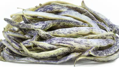 How to Cook Dragon Tongue Beans