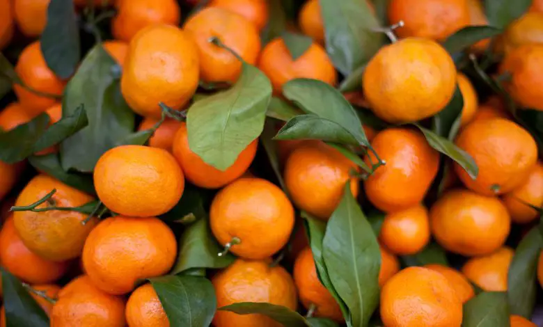 Types Of Tangerines