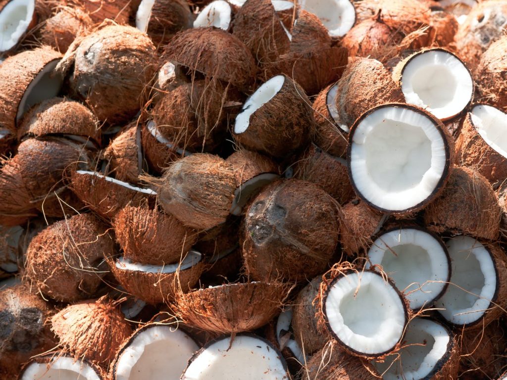 Is A Coconut A Fruit, Nut, Or Seed?