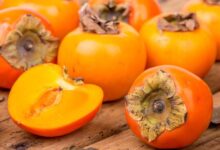 Benefit Of Persimmon Fruit During Pregnancy