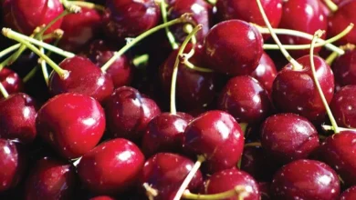 Benefits Of Cherries For Hair Growth