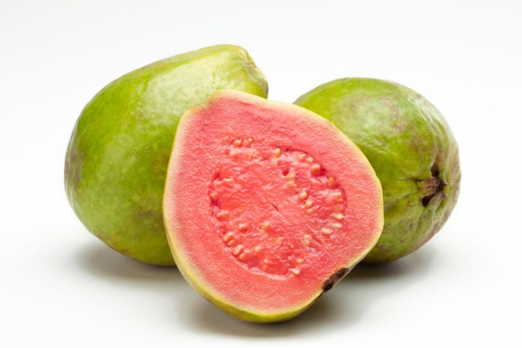 Can Dogs Eat Guava Fruit