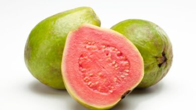 Can Dogs Eat Guava Fruit