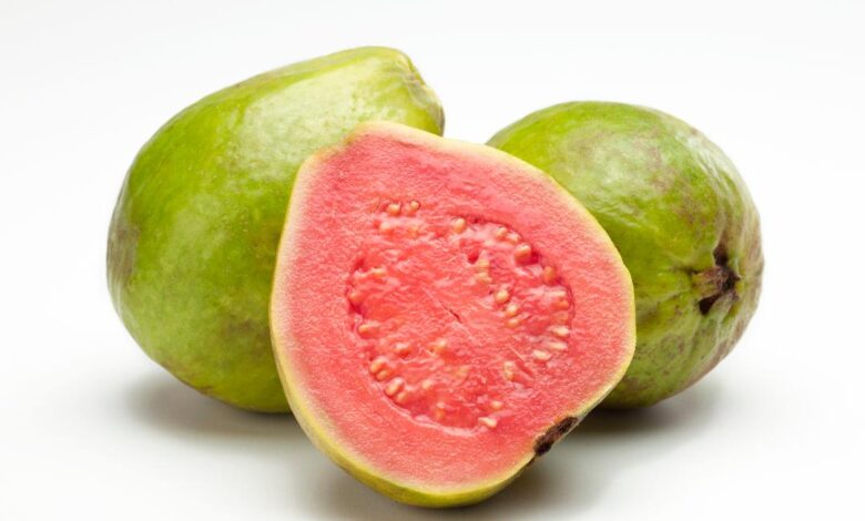 Can Dogs Eat Guava Fruit