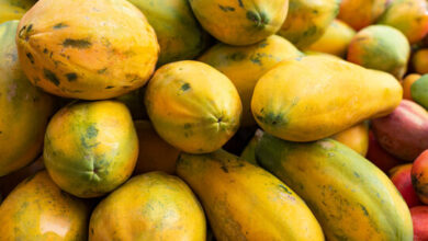 Different Types Of Papaya Fruit