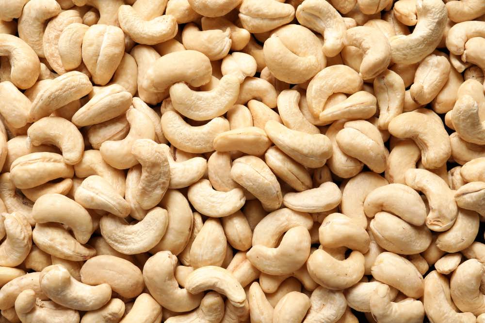 How To Grow Cashew Nuts From Seeds: Step-By-Step Guide