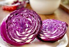 How To Grow Red Cabbage