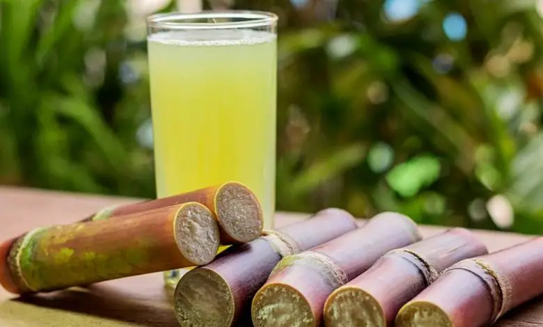 How To Make Sugar Cane Juice, FruitoNix