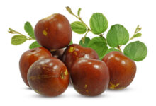 Is Jujube Fruit Good For Diabetes