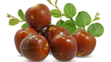 Is Jujube Fruit Good For Diabetes