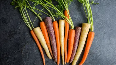 How long do rainbow carrots get?