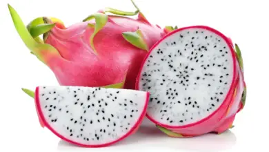 Is Dragon Fruit Good For Dogs