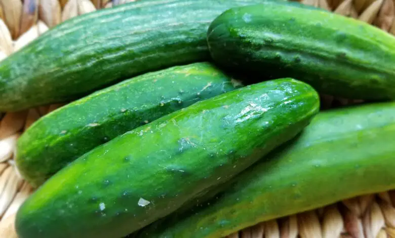 Are Cucumbers Good For Gastritis