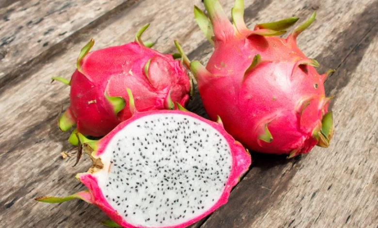 How To Grow Dragon Fruit From Seeds And Cuttings