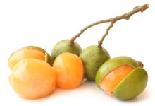 Health Benefits Of Guinep Fruit