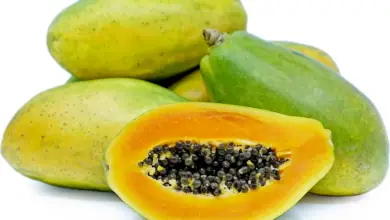 How To Grow Pawpaw From Seed