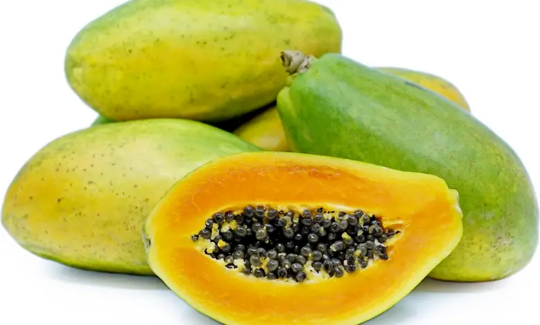 How To Grow Pawpaw From Seed