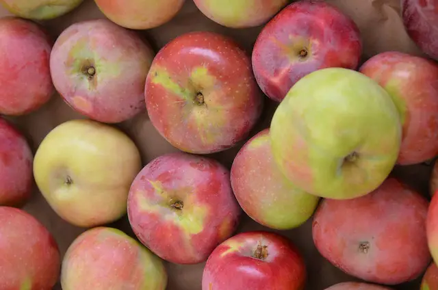 Are Mcintosh Apples Good For Apple Crisp