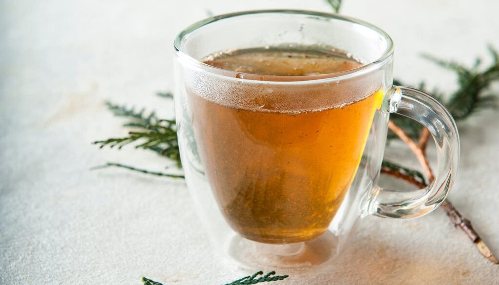 Benefits Of Drinking Cedar Tea