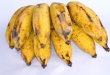 Benefits Of Eating Burro Bananas
