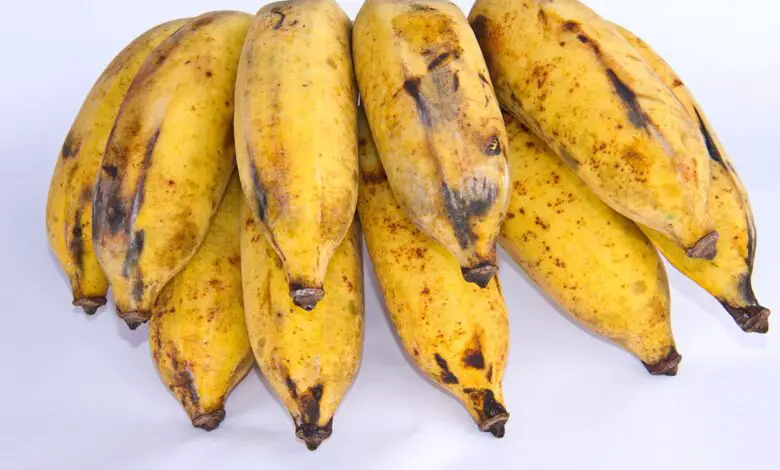Benefits Of Eating Burro Bananas
