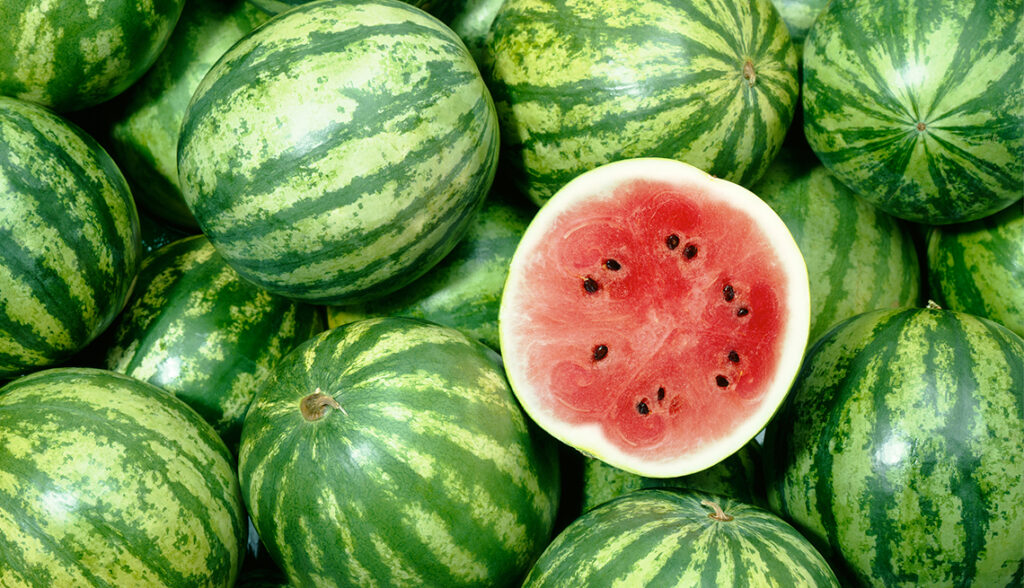 How To Tell The Difference Between A Male And Female Watermelon Flower