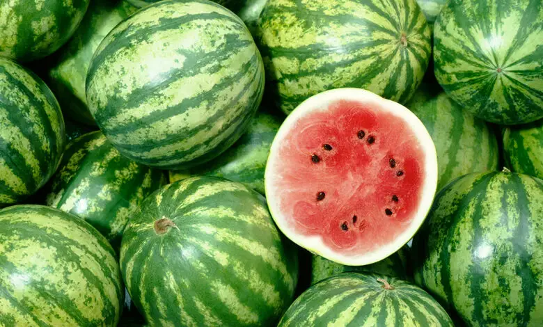 How To Tell The Difference Between A Male And Female Watermelon Flower