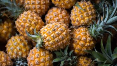 Different Types Of Pineapples