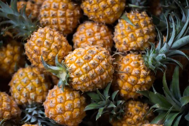Is Pineapple A Berry, A Pine, Or A Citrus Fruit? [ANSWERED]