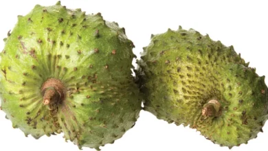 How To Tell If Soursop Is Ripe
