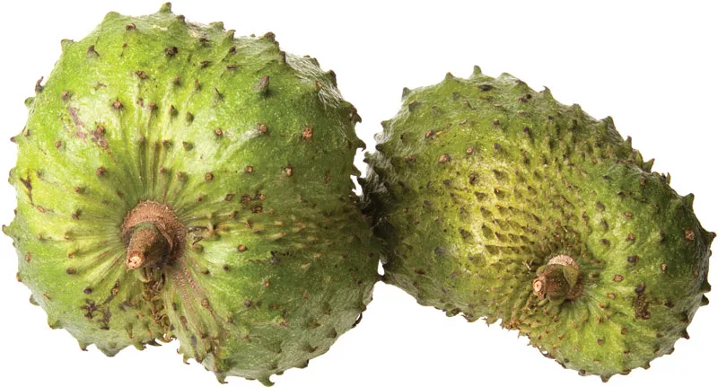 How To Tell If Soursop Is Ripe