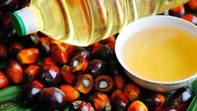 Is Palm Fruit Oil Bad For Dogs