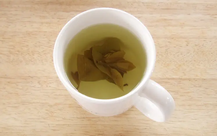 Benefits Of Persimmon Leaf Tea