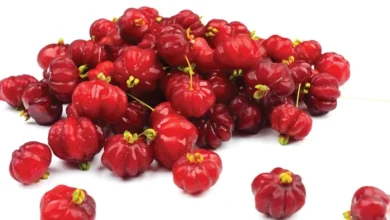 Pitanga fruit, surinam cherry