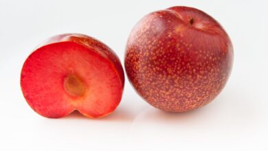 What Is Plumcot Fruit? Nutrition Facts, Health Benefits, And More