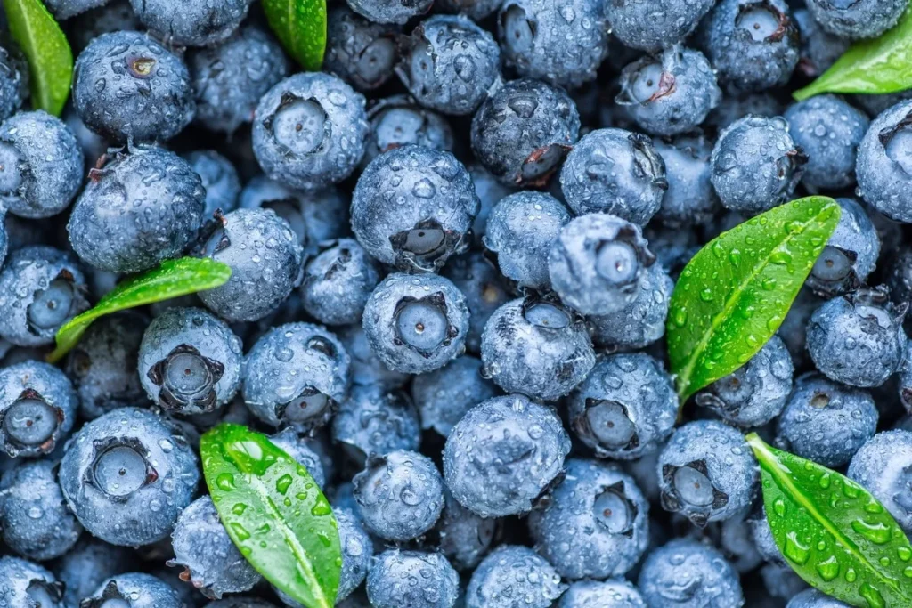 Are Blueberries Acidic Or Alkaline