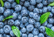 Are Blueberries Acidic Or Alkaline