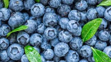 Are Blueberries Acidic Or Alkaline