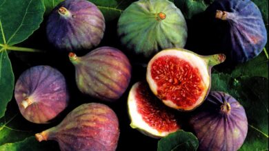 Are Figs Acidic Or Alkaline
