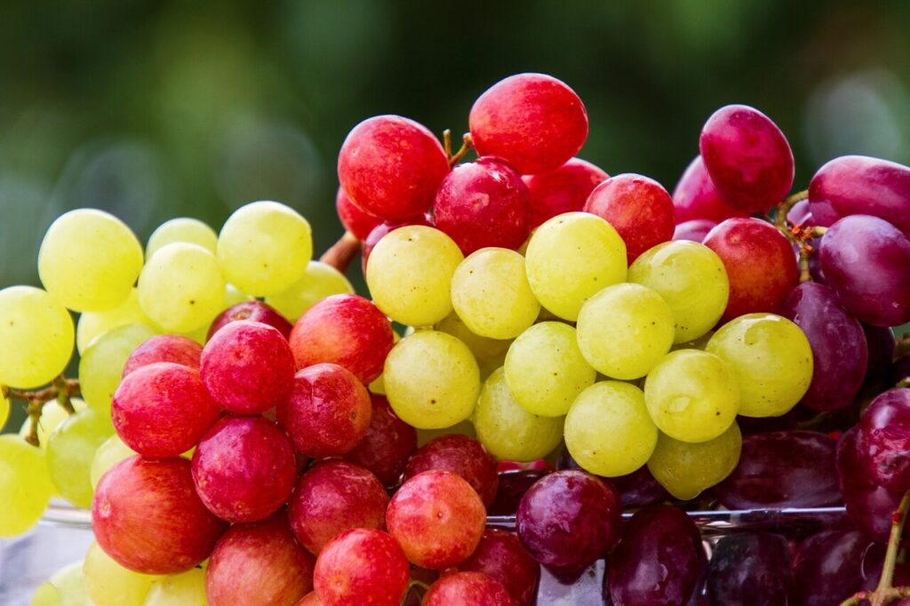 Are Grapes Bad For Acid Reflux