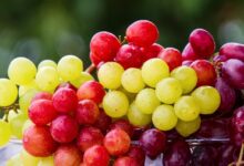 Are Grapes Bad For Acid Reflux