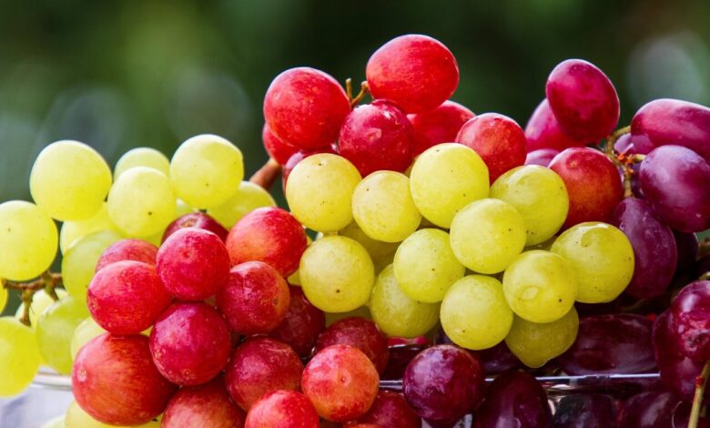 Are Grapes Bad For Acid Reflux