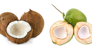 Brown Vs Green Coconuts