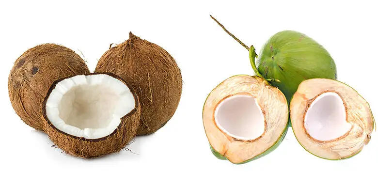 Brown Vs Green Coconuts
