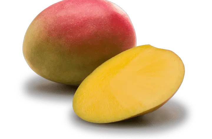 Can Guinea Pigs Eat Mango Skin