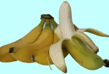 How Do Bananas Grow Without Seeds
