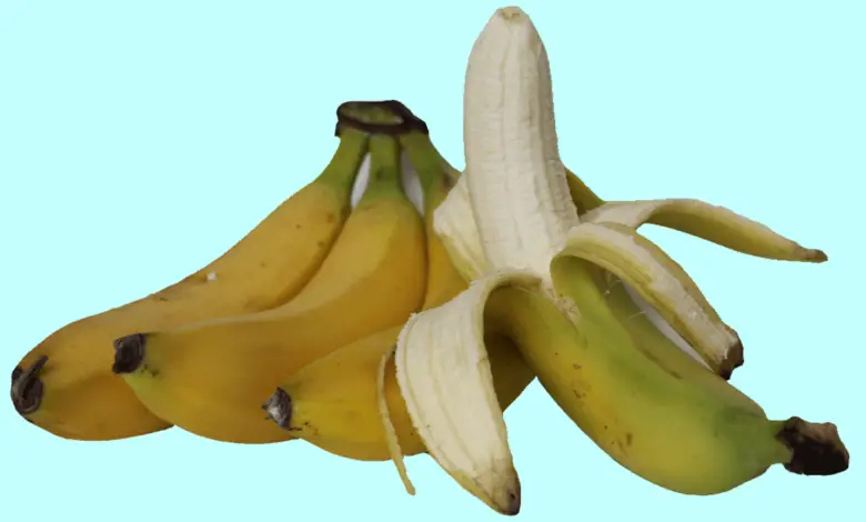 How Do Bananas Grow Without Seeds