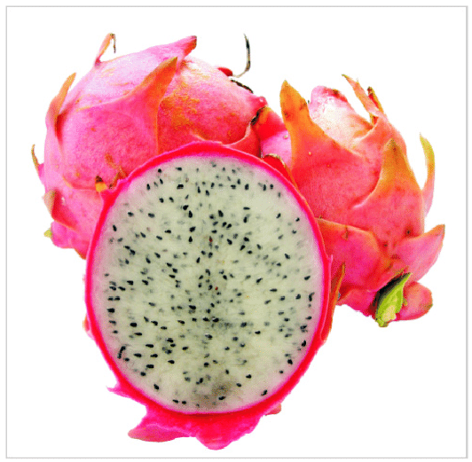 What Is The Sweetest Dragon Fruit, FruitoNix