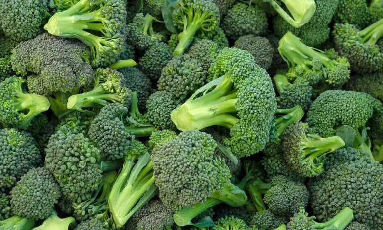 Is Broccoli Genetically Modified